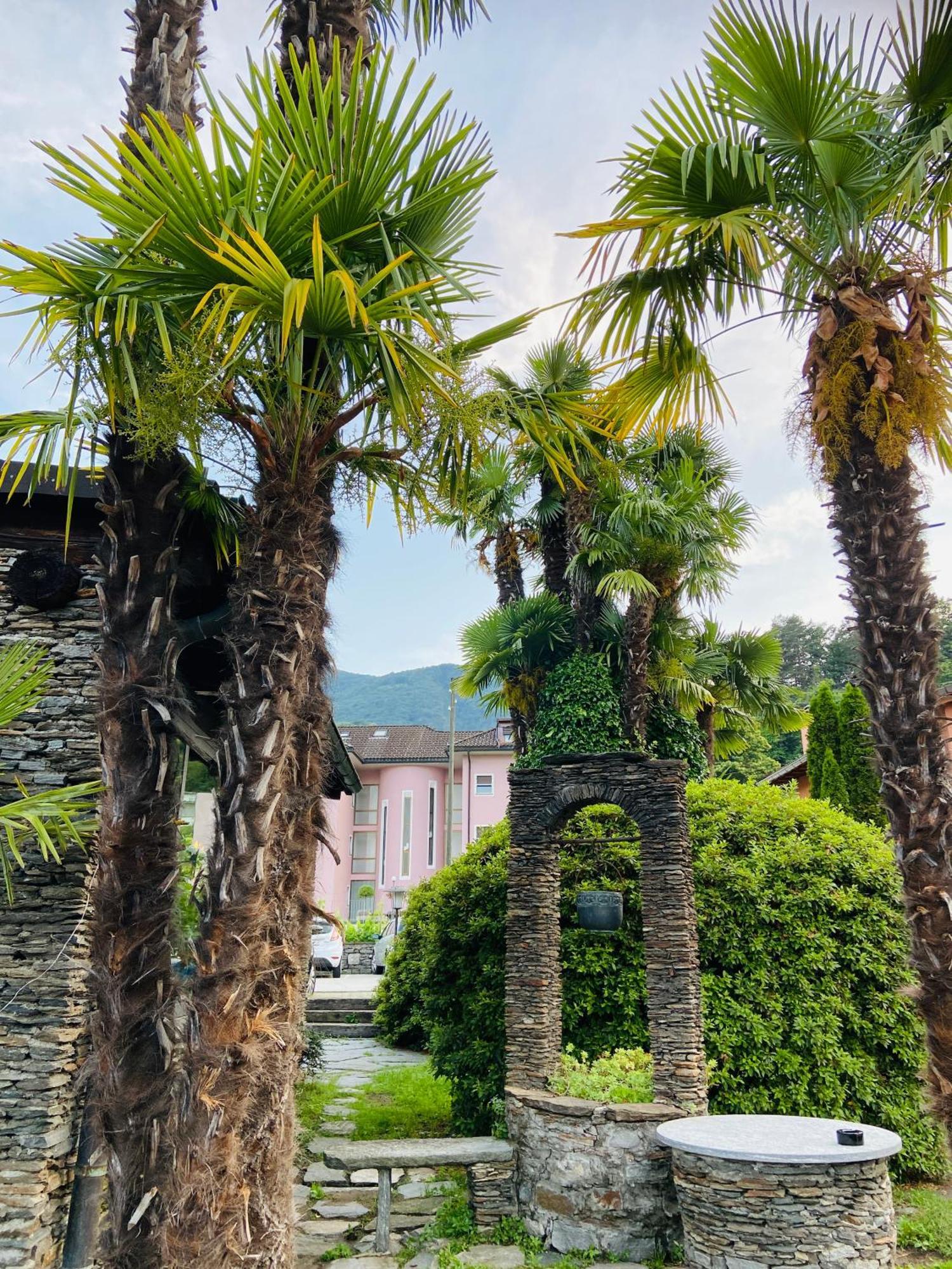 Albergo Pensione San Giorgio Losone Exterior foto